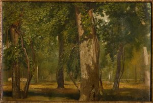 The Wood by Albano Lugli Carpi