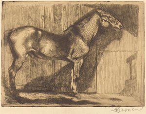 Pony