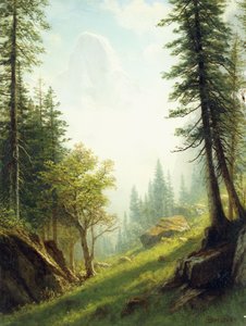 Among the Bernese Alps