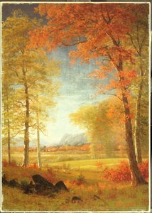 Autumn in America, Oneida County, New York
