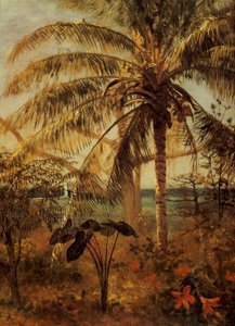 Palm Tree, Nassau by Albert Bierstadt