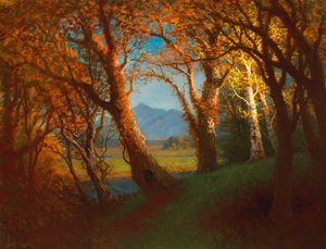 Sunset in the Nebraska Territory by Albert Bierstadt