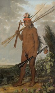 Tarairiu Man