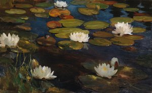 Water Lilies, Study for the Youth and a Mermaid by Albert Edelfelt
