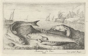 Three Spotted John Dories on the Beach