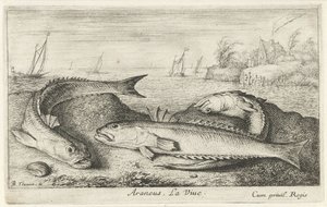 Three Spotted Weever Fish on the Beach