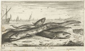 Three Eels on the Beach