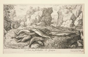 Gabius or Fundulus. The Gudgeon
