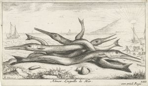 Pike on the Beach