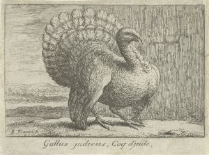 Landscape with Turkey (title on object) (series title) by Albert Flamen