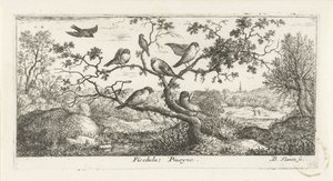 Landscape with Snipes