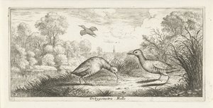 Landscape with Two Rails on a Shore (Bird Book) by Albert Flamen