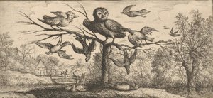 The Owl: Book of Birds by Albert Flamen