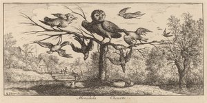 Monedula, The Owl by Albert Flamen