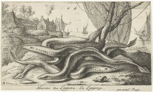 River lampreys on a shore (Fish and other sea creatures - freshwater second series)