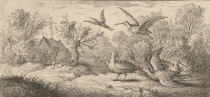 The Woodcock: Book of Birds, 1655-1660 by Albert Flamen