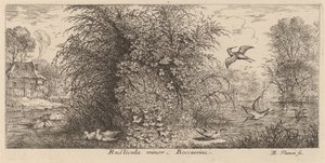 Rusticula minor, The Snipe by Albert Flamen