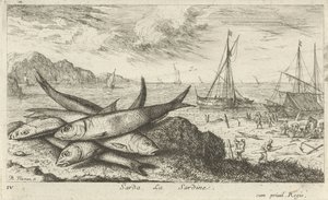 Sardines on the Beach