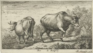 Bulls (Bos le Boeuf, Various Animal Species) by Albert Flamen