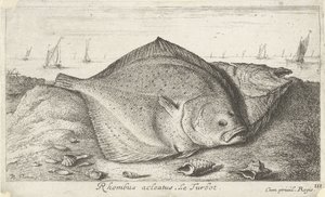 Two Turbots on the Beach by Albert Flamen