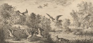The Lapwing: Book of Birds, 1655-1660 by Albert Flamen