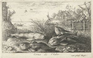Four Chubs on a Riverbank (Fish and Other Sea Creatures - Freshwater Second Series)