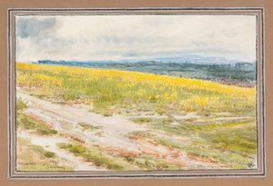 Colour Note Near Salisbury by Albert Goodwin