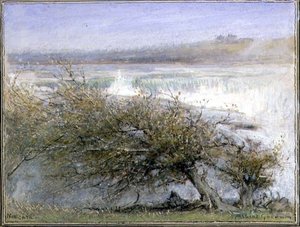 Niagara in Spring