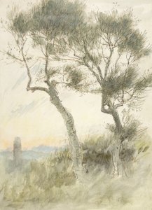Study of Two Trees