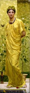 Carnations