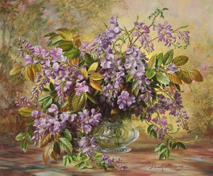 Enchanting Junetide Wisteria