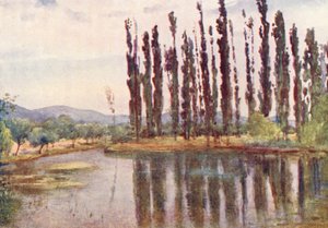 Near the Temple of Clitumnus by Alberto Pisa