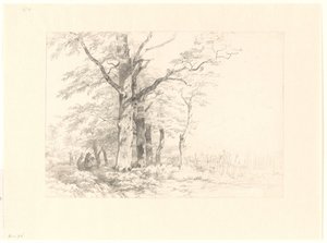Study of Oaks in a Landscape by Albertus Brondgeest