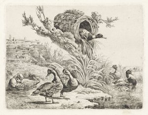Ducks by a Waterside by Albertus Verhoesen