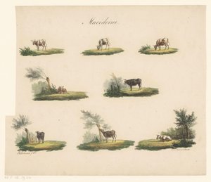 Cows in Landscape by Albertus Verhoesen