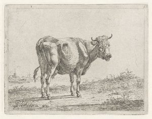 Standing Cow