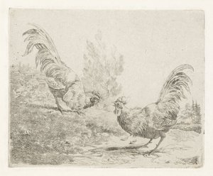 Two Fighting Roosters by Albertus Verhoesen