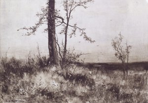 Landscape by Albion Harris Bicknell