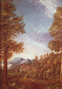 Danube landscape with Castle Worth