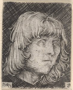 Head of a Young Man by Albrecht Altdorfer