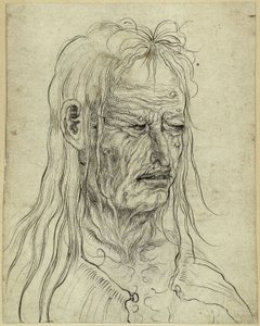 Head of an Ugly Old Woman, Facing Right by Albrecht Altdorfer