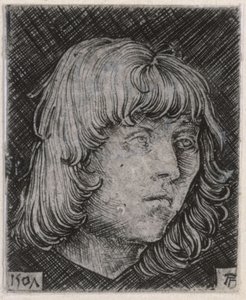 Head of a Young Man by Albrecht Altdorfer