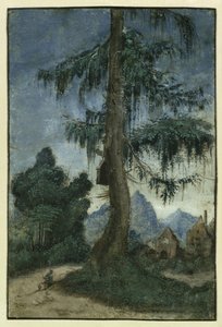 Landscape with a spruce, ca 1522