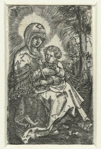Mary with Child in Landscape by Albrecht Altdorfer