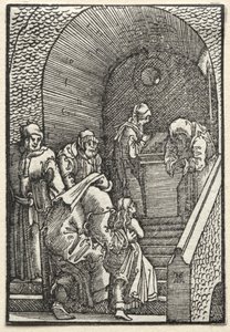 The Fall and Redemption of Man: The Presentation of the Virgin in the Temple by Albrecht Altdorfer