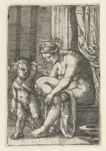 Venus After the Bath by Albrecht Altdorfer