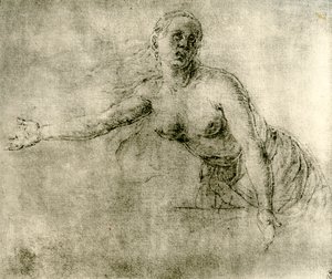 A study by Albrecht Dürer