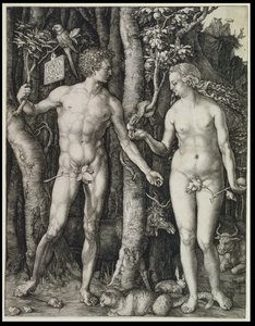 Adam and Eve (The Fall of Man) by Albrecht Dürer