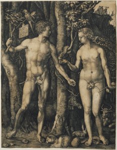 Adam and Eve by Albrecht Dürer
