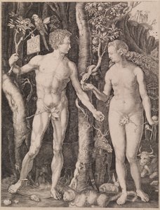 Adam and Eve by Albrecht Dürer